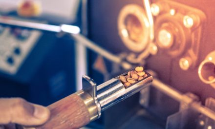 The Maillard reaction for non-chemists