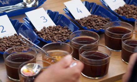 How do I find the right coffee?