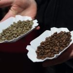 What is “Decaf” and how do I roast it properly?