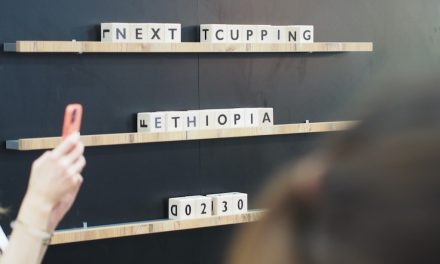 Google shows too few results? How to find more green coffee traders if your online search was disappointing