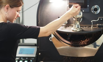 How did that happen, Ann-Kathrin: You just started your roasting plant and directly imported a container of green coffee?