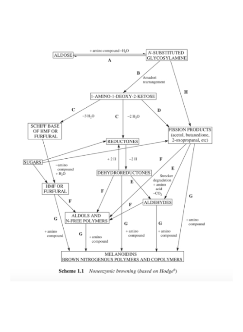 Maillard reaction in coffee Maillard reaction in coffee